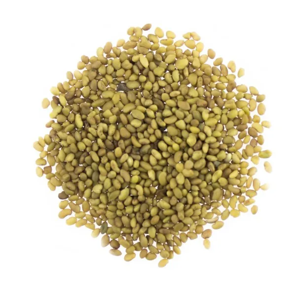 Organic Hemp Seed Oil at Lowest Price