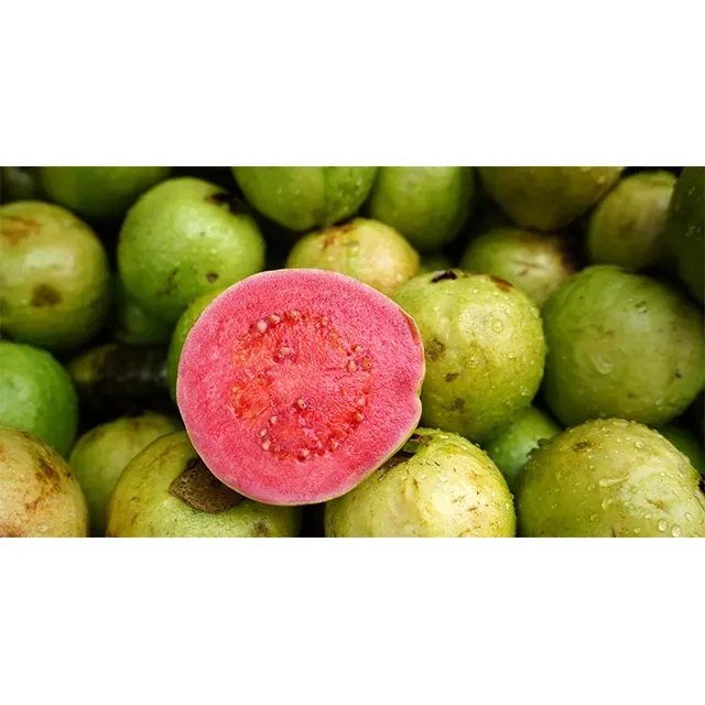 Best Quality Rich Quality Good Taste Fresh Fruit Red Guava For Wholesale Purchase Suppliers Wholesale Products Fresh Guava
