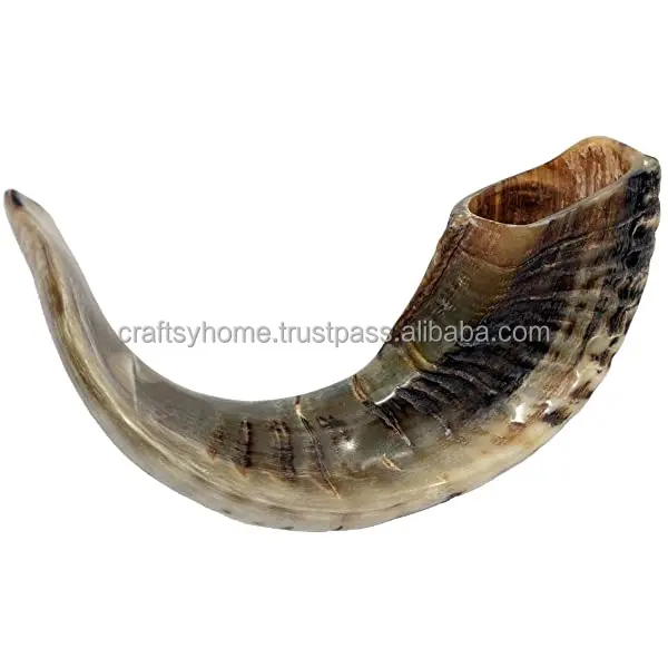Wholesale Price Polished shofar Genuine Natural Ram Horn shofar for sale shofar kudu horn polished from India