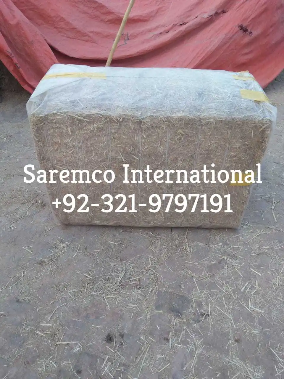 Rhodes grass pellet seed from Pakistan best dust free bales for Animal Feed Suppliers Import Export wholesale price