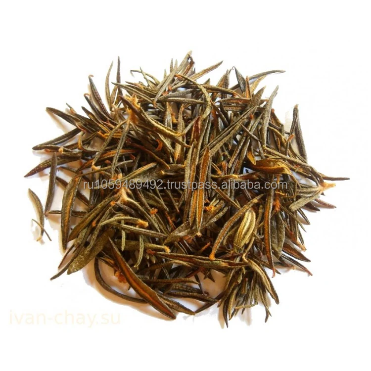 Marsh Labrador herb organic Siberian product high quality wholesale prices natural herbs for sale