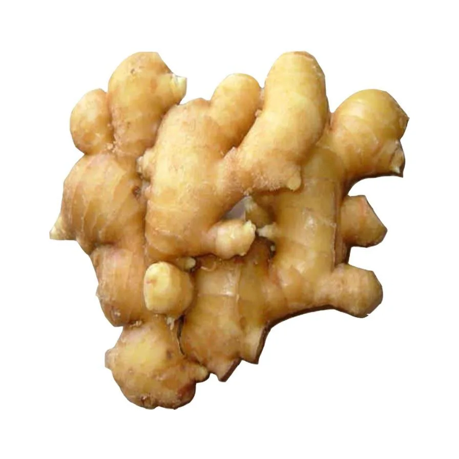 New Season Ginger Price Per Ton Bulk Farm Planting Fresh Ginger