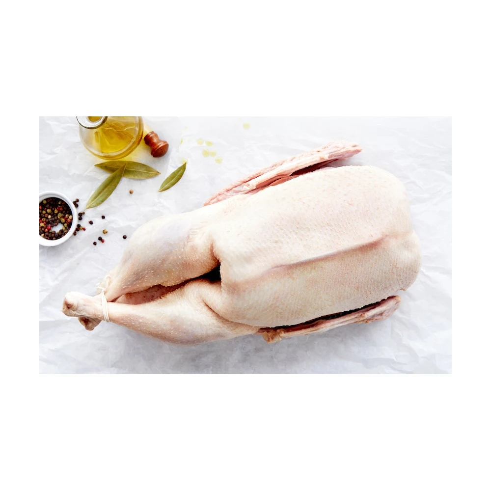 Best Factory Price Of Frozen Goose Fat Available In Bulk Stock With Custom Packing
