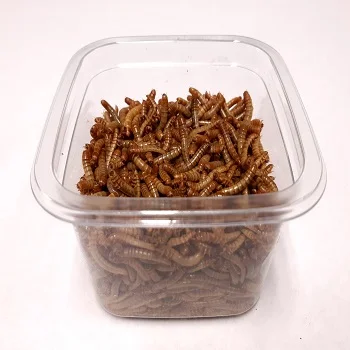 high-protein micro-dried mealworms for animal