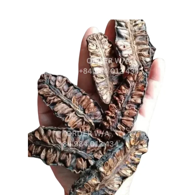 Высочайший экспортный сорт сушеные нони 100% натуральные высококачественные фрукты