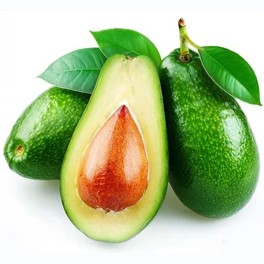 High Quality Organic Fresh Hass Avocado Ready for Export at Best Price