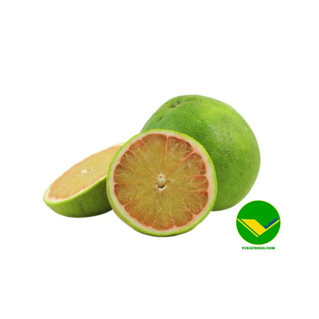 Cheap Price High Quality Fresh Grapefruit from Vietnam Export Fresh Grapefruit Professional Wholesale Fresh Grapefruit