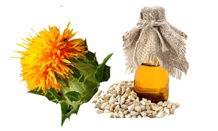 Safflower Seed Oil.png