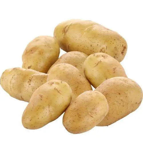 Свежий картофель высокого качества