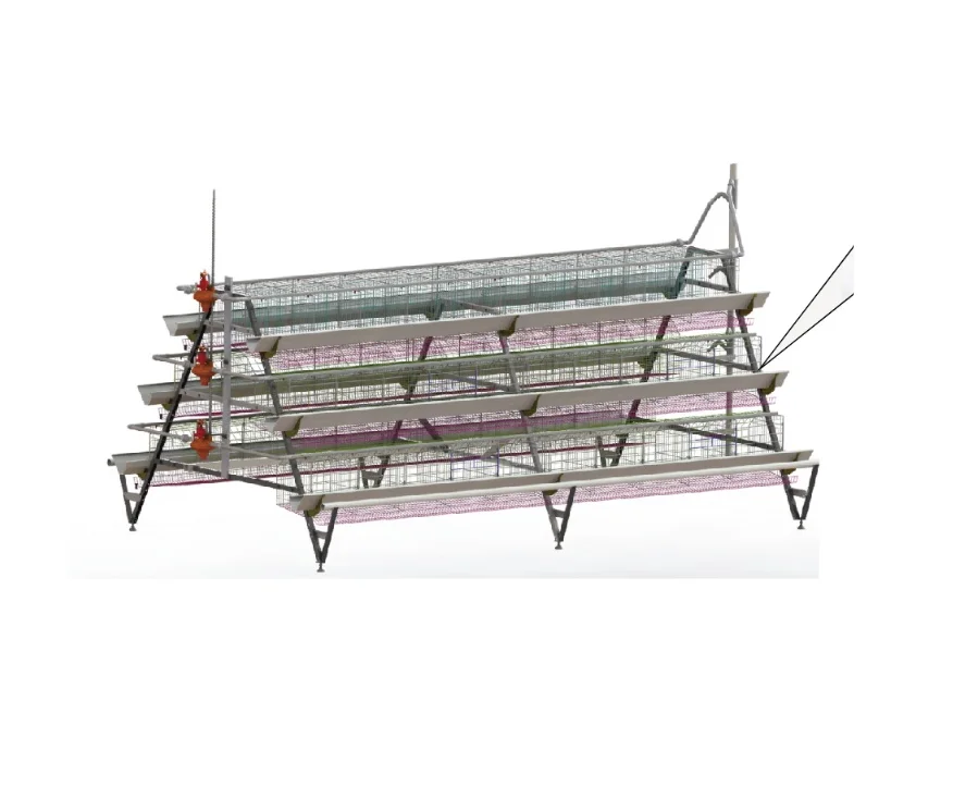 Animal Husbandry Equipment for Layer Hens for Poultry Husbandry