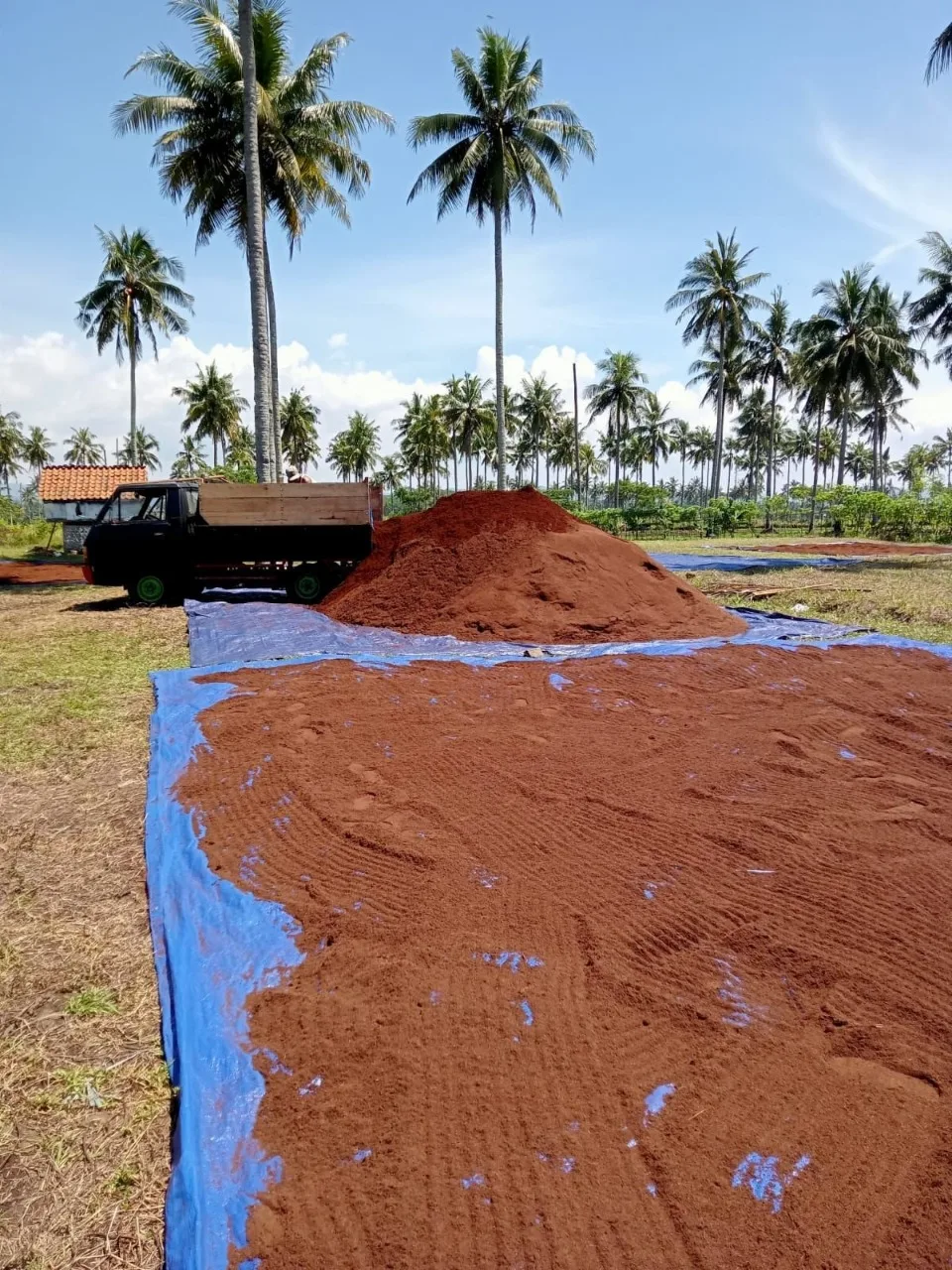 High Quality Coconut Coir Peat Cocopeat From Coconut Husk Best Soil Coco Peat Block Export From Indonesia