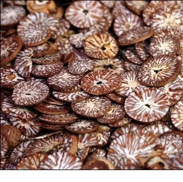 Хит продаж сушеные гайки Betel оптом по более