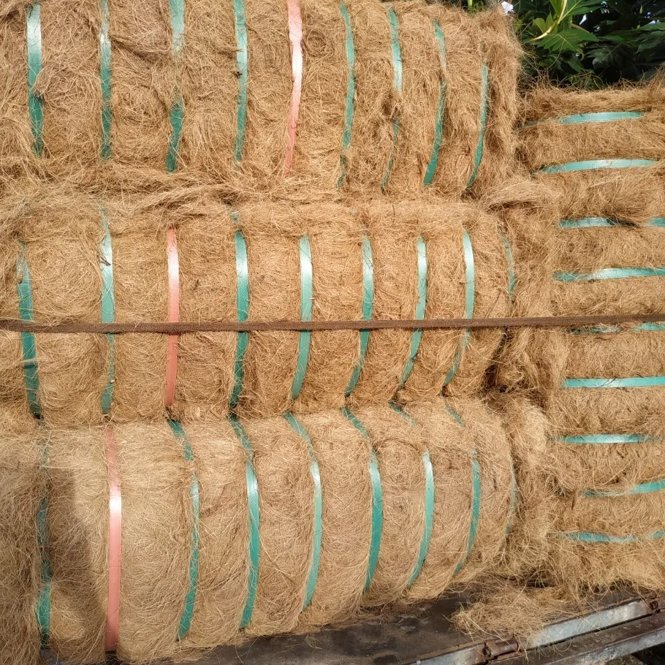 Кокосовое волокно для производства матрасов самая низкая цена оптовая продажа большое количество Премиум кокосовое готов к отправке