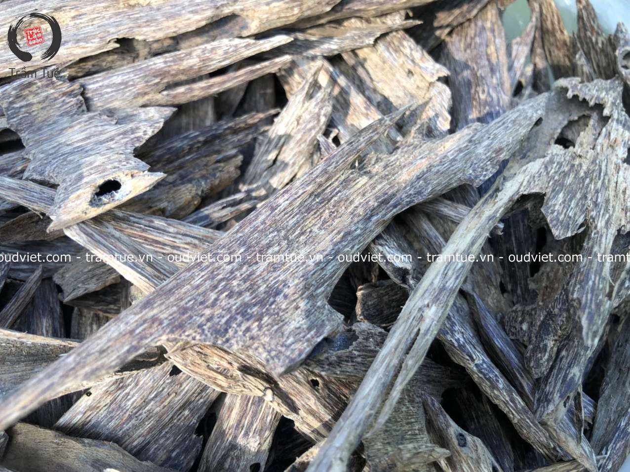 Vietnamese Hot Whole Sale High-quality Natural no Chemical Oud Agarwood Chips Pieces for making Oudh Incense Cone, Stick, Coil