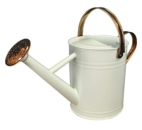 Antique Galvanized Iron Planter Watering  Can  Wholesale Manufacturer Custom Garden Decor Plant Watering Can