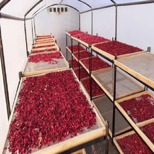 Розовые лепестки роз сухие розовые хорошо сделанные здоровый красивый чай свежий холодный и сухой индивидуальная упаковка