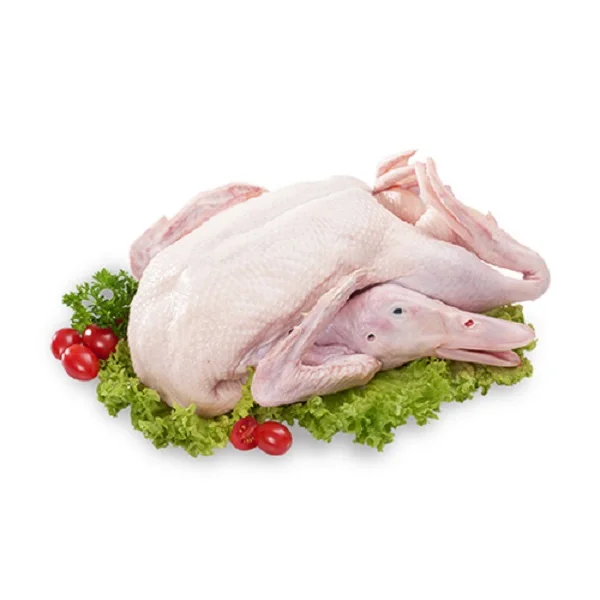 Premium Quality Best Selling Frozen Whole Duck