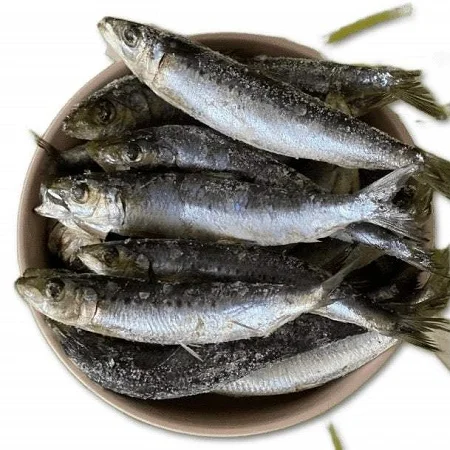 Fresh Sardine Fish pacific 300-500 W/R Frozen Fresh Sardine Fish in 10kg box