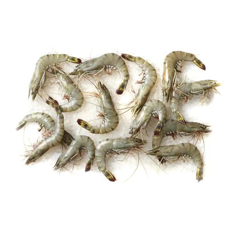Frozen Fresh Shrimp 100% Frozen Vannamei Shrimp Healthy China Seafood Items with High Quality