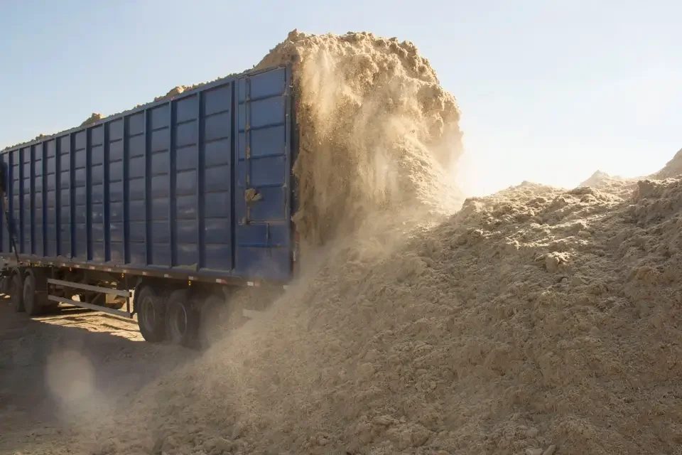 HOT SALE WOOD SHAVINGS / for HORSE