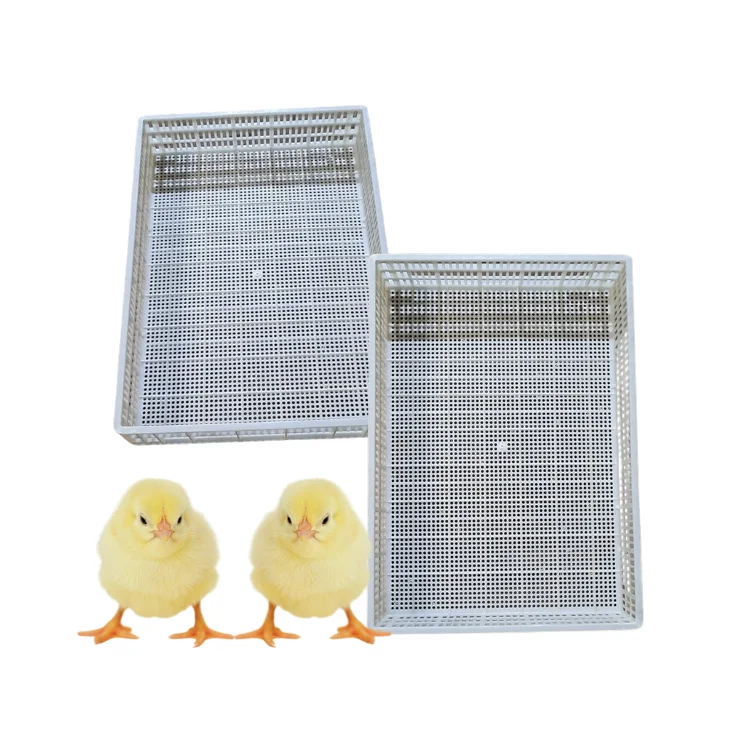 Poultry Plastic Slat Floor High Quality New Design for Chicken Poultry Equipment Customization Vietnam Manufacturer