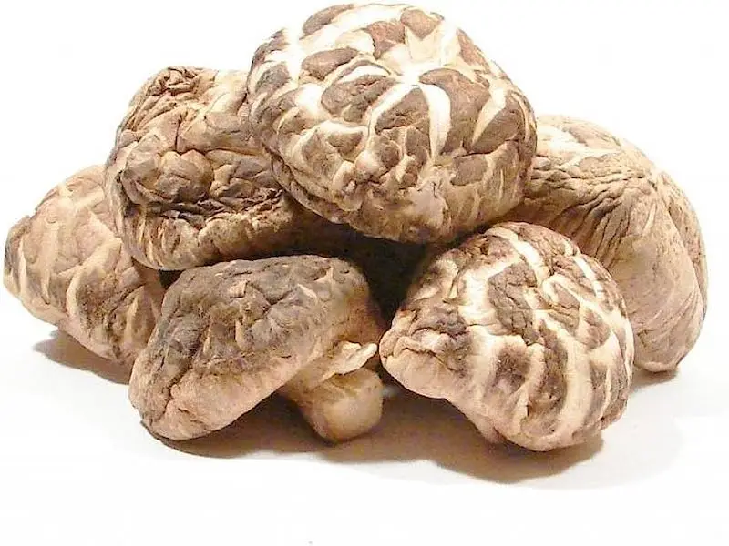 Dried Shiitake Donko13.jpeg
