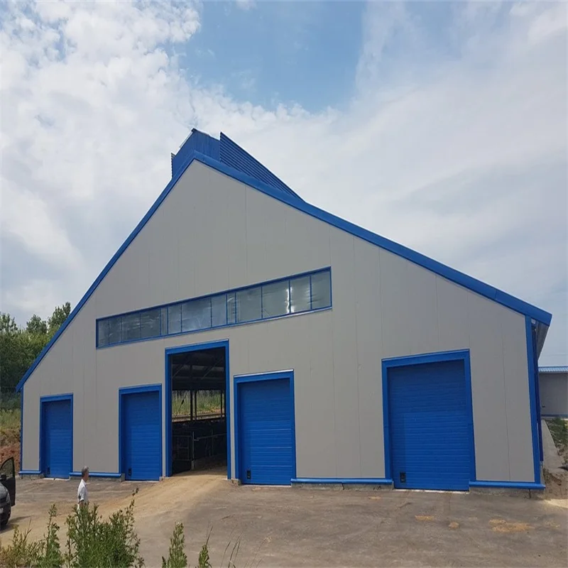 Prefabricated Steel Structure Daily Cow Shed Construction