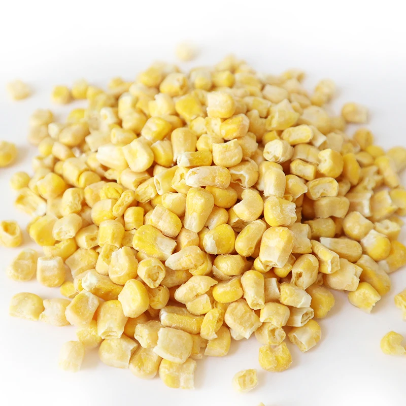 Wholesale Supplier Of Bulk Fresh Stock of Dried Yellow Corn Grans / Corn Maize