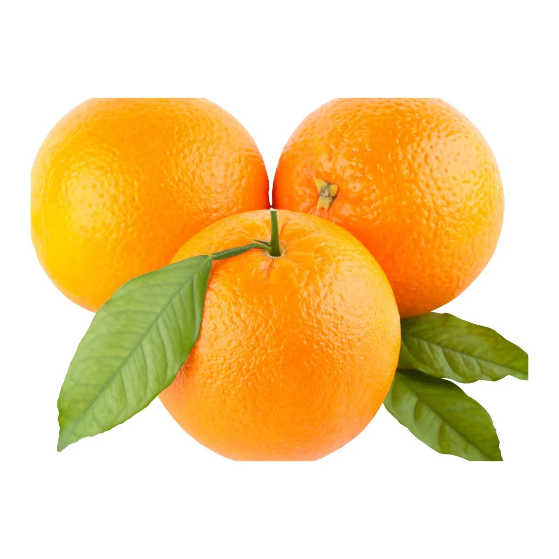 Oranges Fresh Produce Citrus Fresh Fruits bulk orange fresh citrus fruit