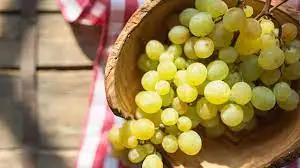 Export Quality Sweet Green Grapes with Good Sweet Content and Flavorful Available at Wholesale Price from Indian Exporter