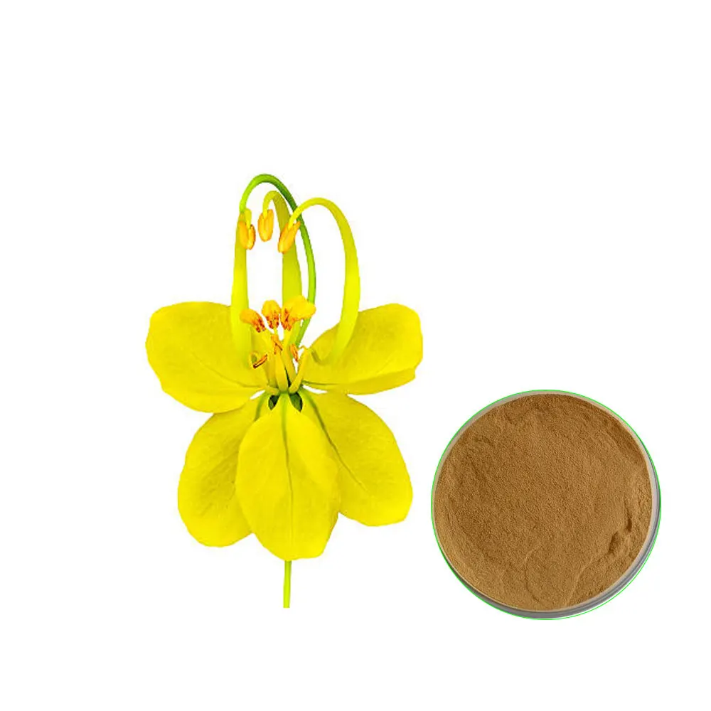 High Quality Amaltash Extract Powder Available Wholesale Price Customization available, Private labeling