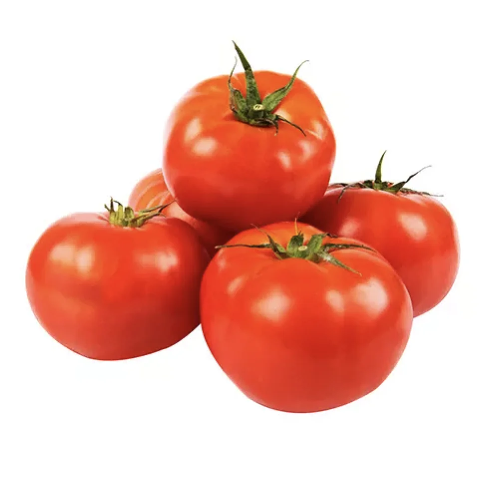 PREMIUM QUALITY FRESH TOMATOES GREEN CHERRY RED INDION BOX TOMATO EXPORT