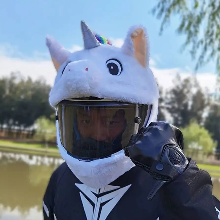 Innovation Promotion Products Moto Loot Helmet Cover for Motorcycle Helmet, Fun Rides and Gifts Cover Only