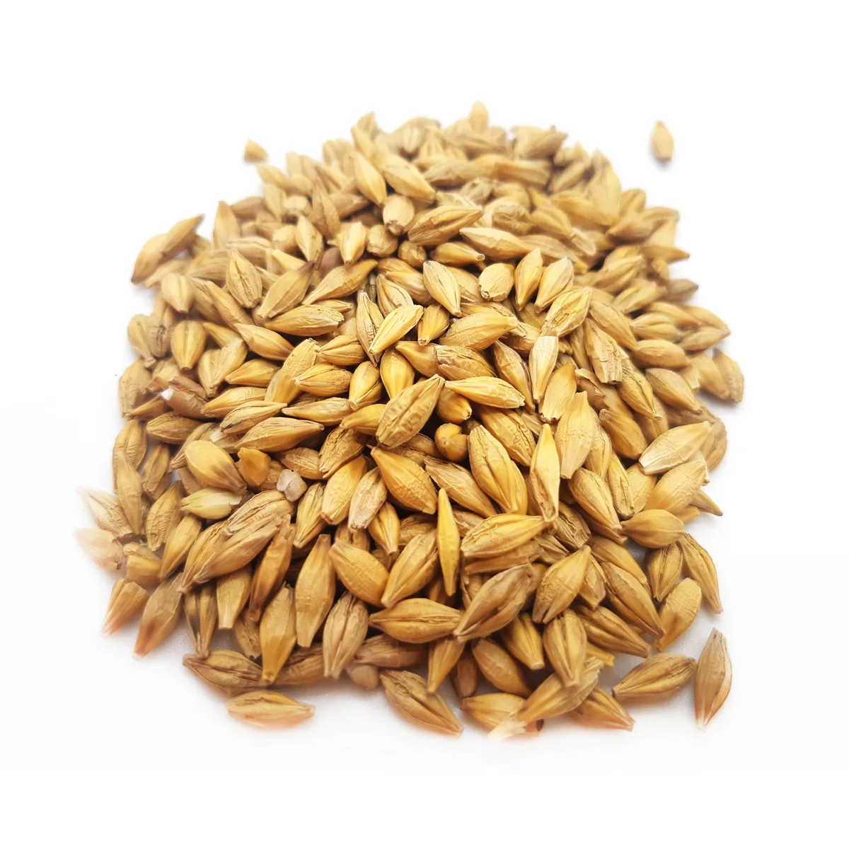 High quality raw barley worldwide shipping beans and seeds for sale
