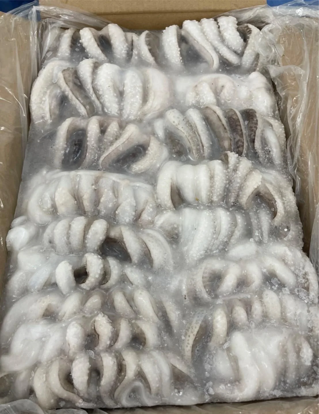 Frozen squid tentacles One box weighs 1 kg Squid weight 800g Net weight 1000g sea food frozen seafood Frozen squid