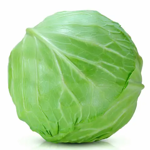 Hot Sale - Fresh Round Cabbage with CE HACCP Certificate - High Quality Natural Cabbage for EU