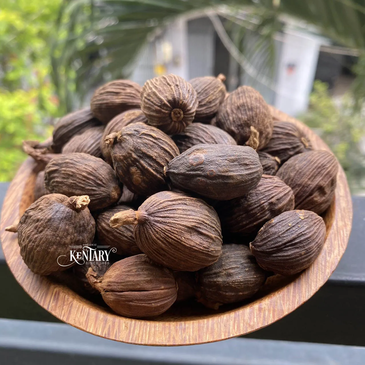 Wholesale Strong Flavor Black Cardamon Seeds Size 9mm Hight Quality Spices Best Price Factory in Vietnam 100% Pure non GMO