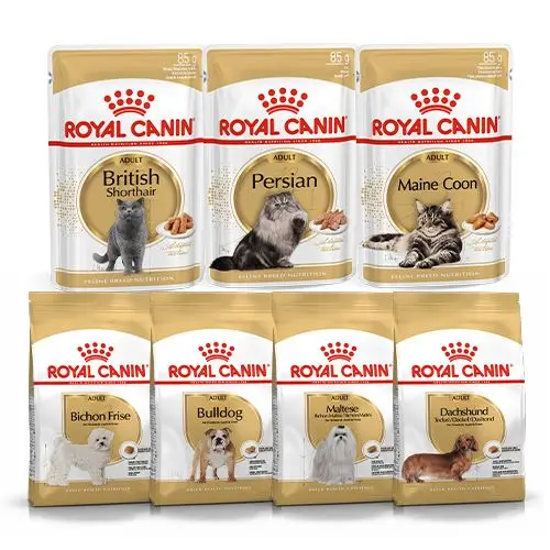 High Quality Royal Canin Kitten Cat Foods Dried Treats Puppies Cats Shrimp Taste Grain-Free Small Dog Friendly Cheap 20kg Bags
