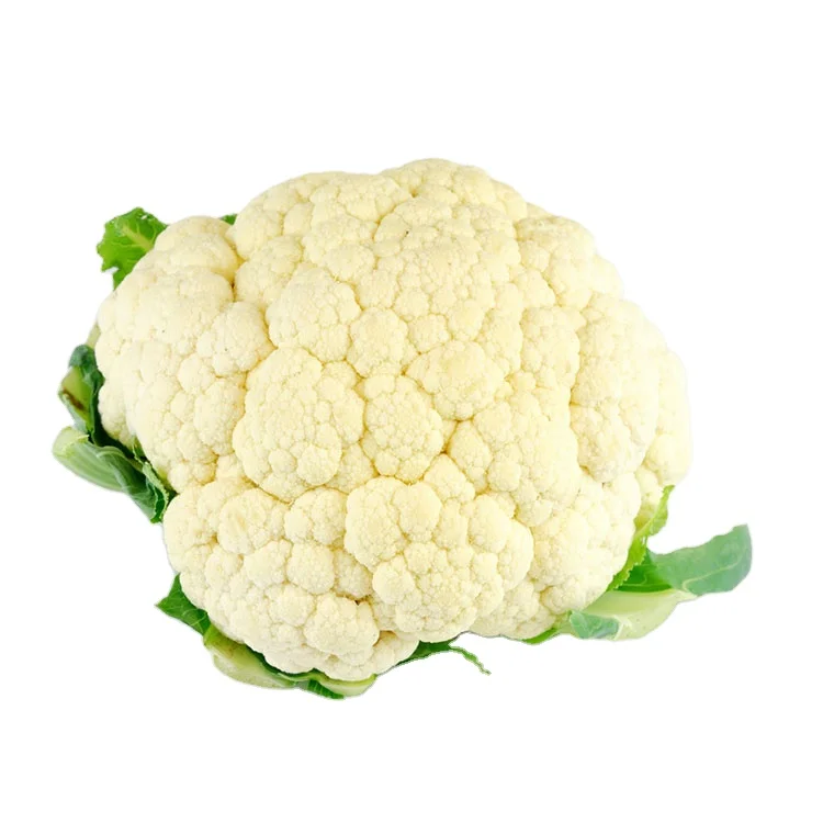 Nominal Price Most Selling Top Grade Fresh Cauliflower in Bulk Quantity