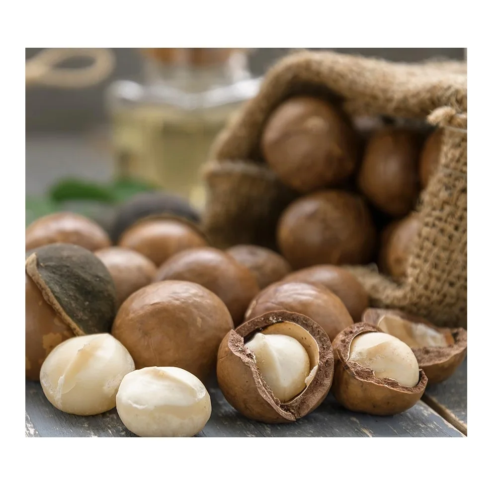 Roasted Macadamia Nuts High Nutrition From Vietnam