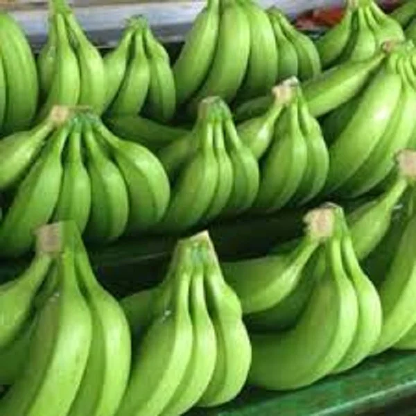 Fresh Cavendish Banana For Sale