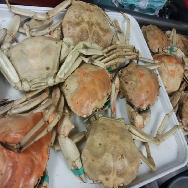 Свежие и замороженные крабы с мягкой