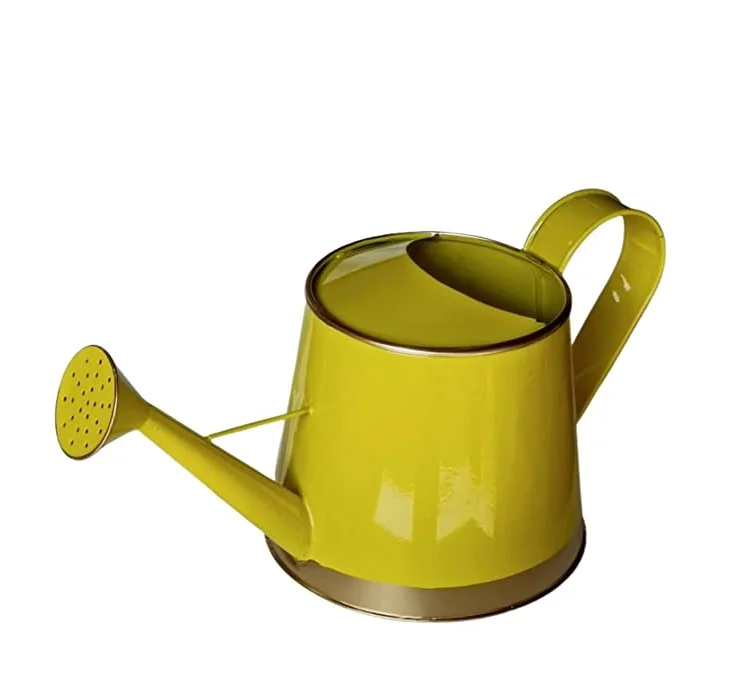 Awesome galvanized iron watering can high quality rust free garden decoration tools supplies cream color customize Design