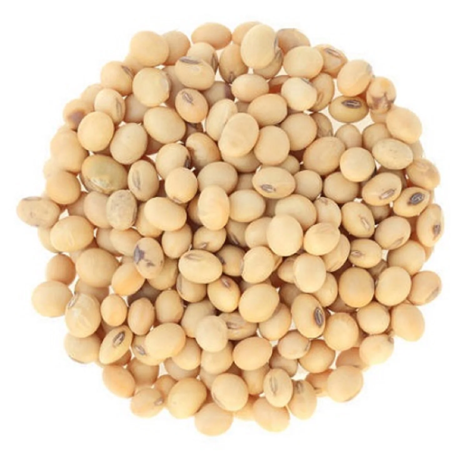 Organic Non-GMO Soybean High Quality Yellow Soybean for Animal Feed Fresh and Dried Direct Bulk Wholesale