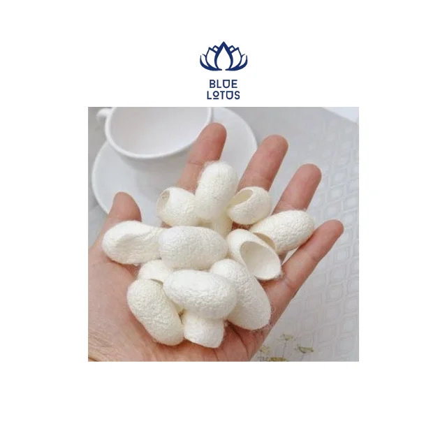 Кокон-червь Лучшая цена на экспорт