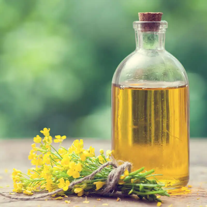 CANOLA OIL canola oil in bulk