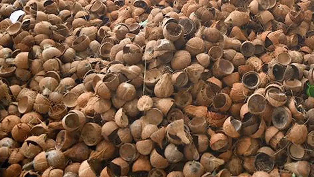 Activated carbon manufacturer Activated carbon price activated carbon price per ton FOB USD 443-1143