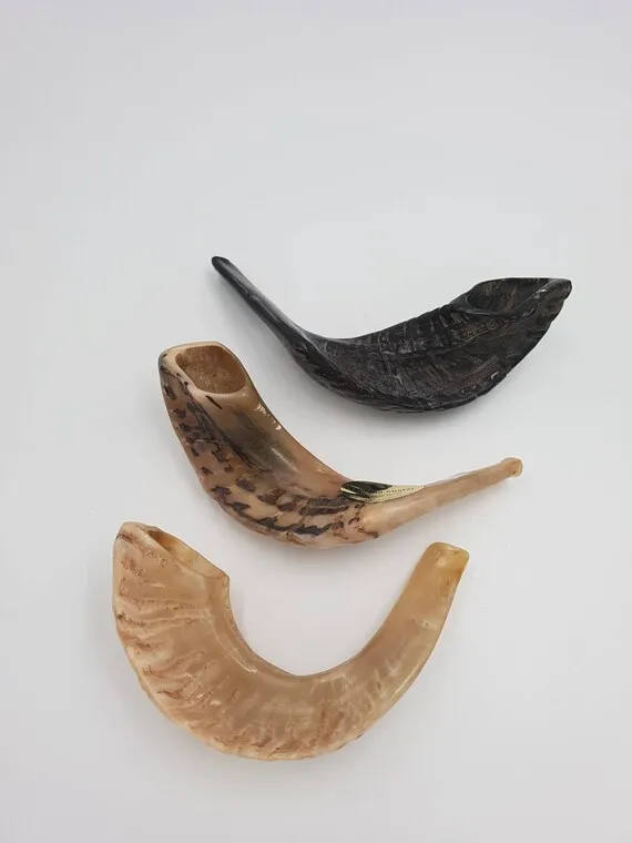 Ram Horn Shofer Jewish Shofar Trumpet Large Rams Horn Shofar with Light Shades Natural Finish With High Quality from India