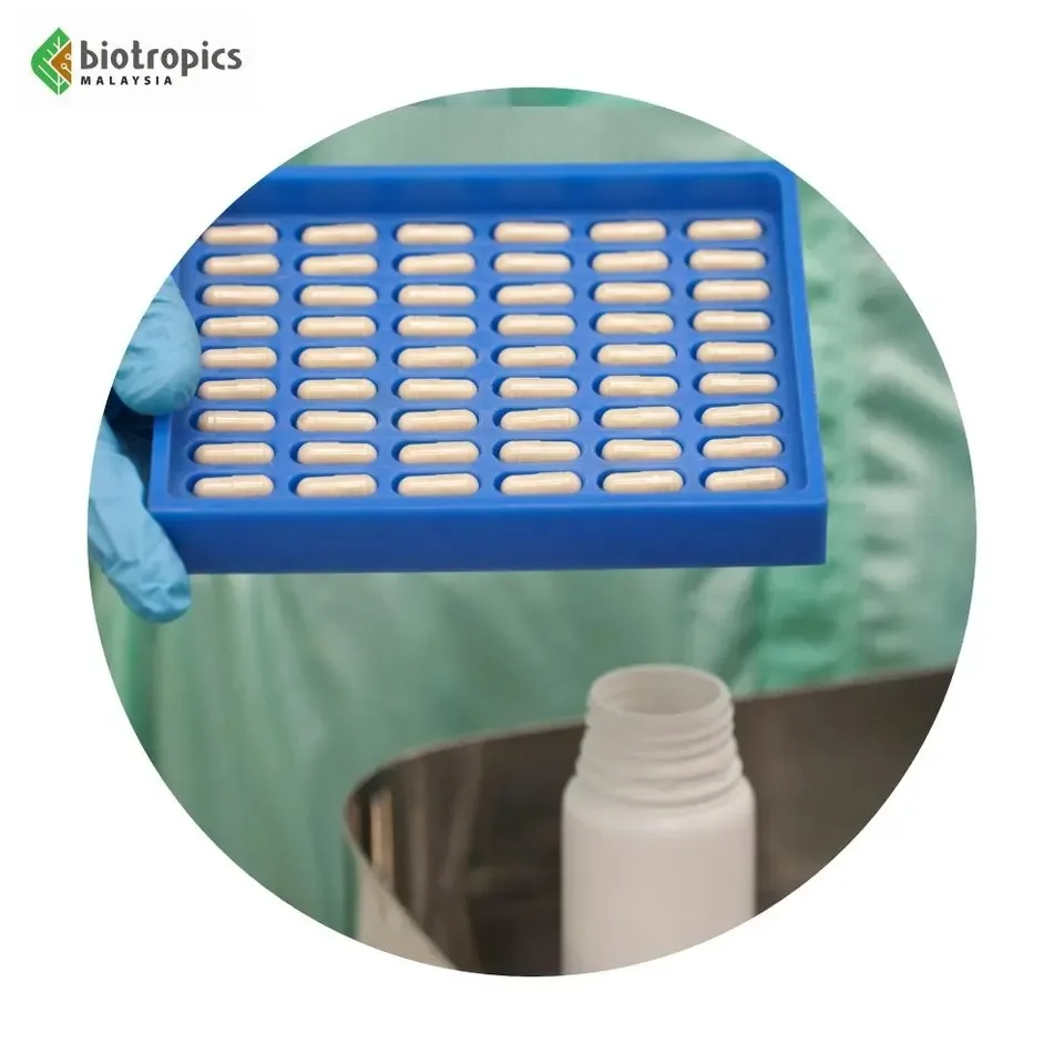 Best Price Tongkat Ali Extract Capsules Energy Booster Capsule Herbal Sports Supplements Malaysia Tongkat Ali Supplier