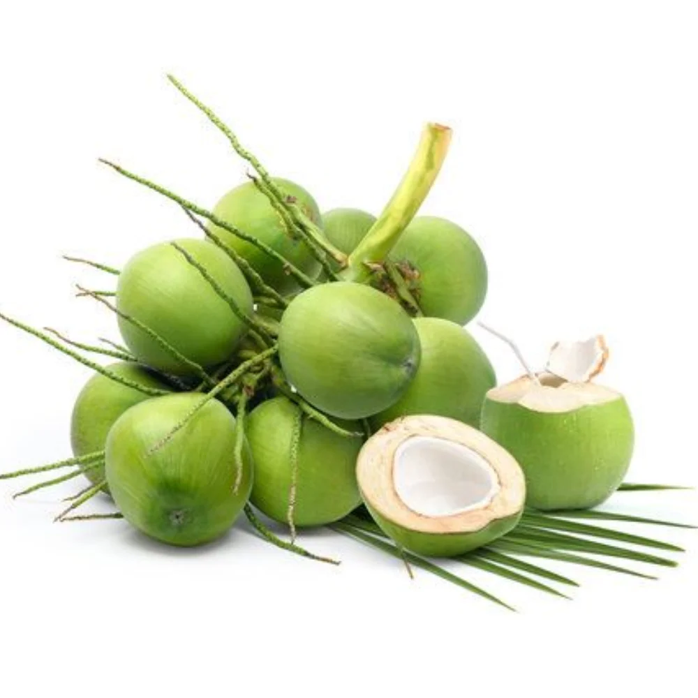 Высококачественный свежий кокосовый орех из Вьетнама большое количество Ксиемский кокос в Бен-Тре вся цена продажи молодой дельте Меконга